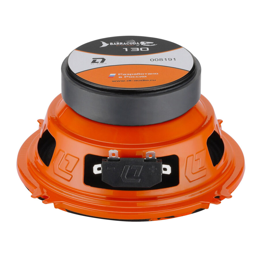 Barracuda-130_3-920x920