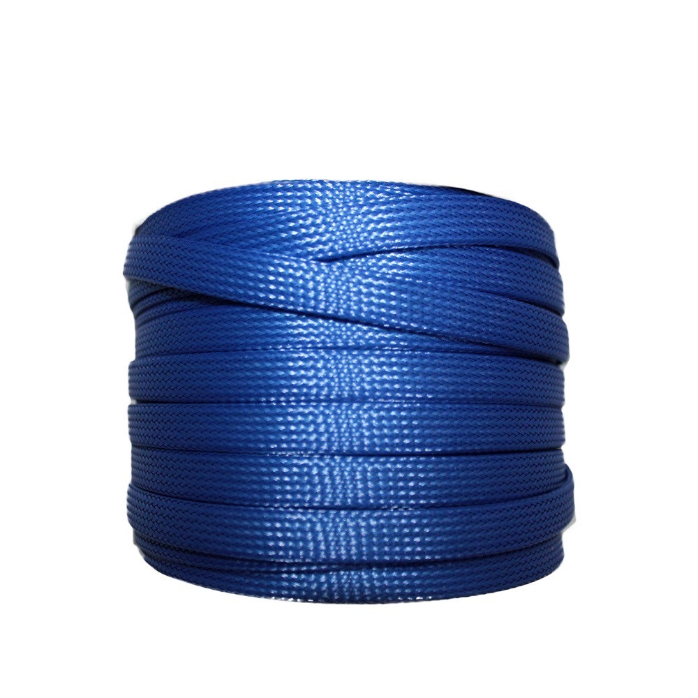 pp12blu1
